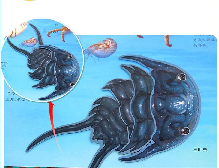 Pop Up Book Art